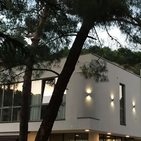 Guest house & Preelook